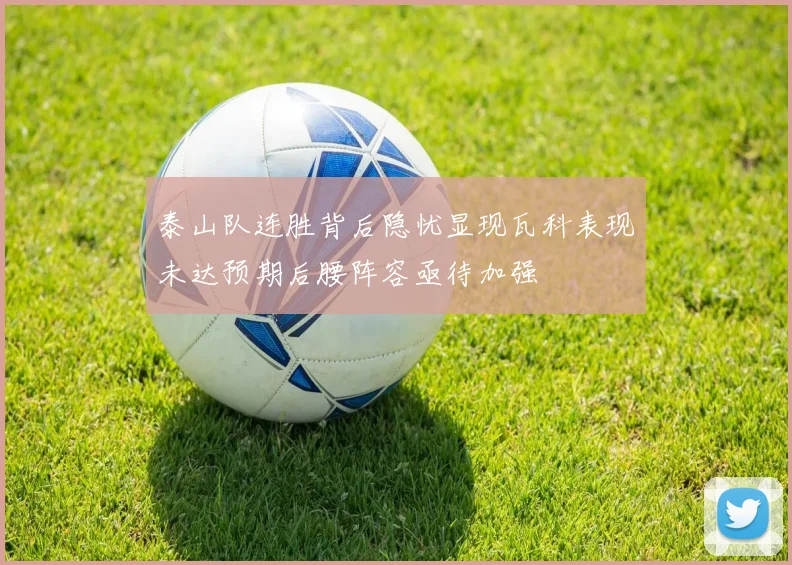泰山队连胜背后隐忧显现瓦科表现未达预期后腰阵容亟待加强